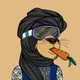 The Saudi Tigers