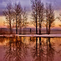 We're Cast by the Sun- Joe Schaeppi