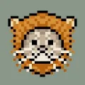 Lioncat Punks