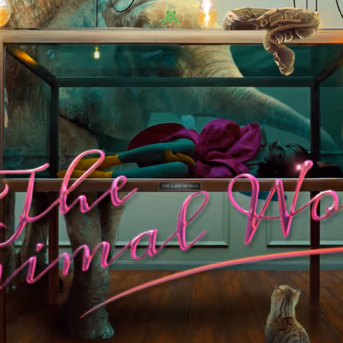 Chen Man - Silent Noise, Episode 2