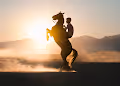 The Horse dance with light