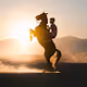 The Horse dance with light