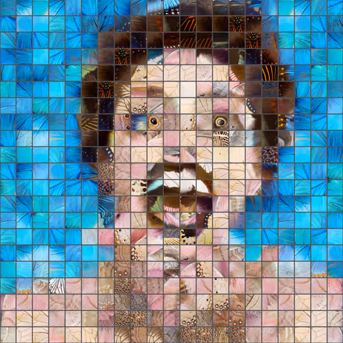 APOTI Making Faces | videos by Andrea Morucchio
