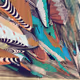 Wonderland Entropy