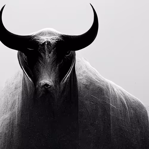 BULL by gokhan