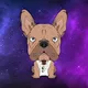 DigiDogNFT