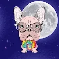 DigiDogNFT