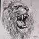 art of scribble