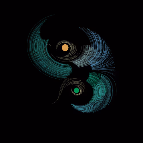 Chaotic Attraction