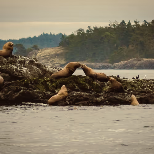 Land & Sea by Perry Azevedo - old