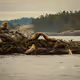 Land & Sea by Perry Azevedo - old