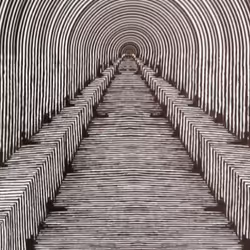 アイテム メディア プレースホルダー