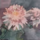 Renee's Flowers