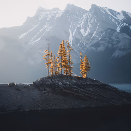 SOLITUDE - Edition by Alex Mack