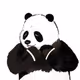 WePanda