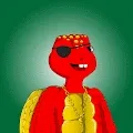 Sea Turtle Social Club
