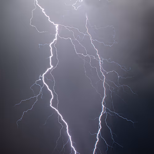 Open Editions by The Dreadlock Traveler