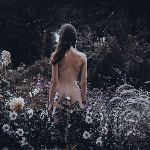 Garden of Eden - MFN