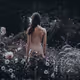 Garden of Eden - MFN