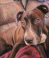 Roxy & Athena