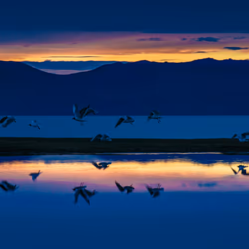 BestNaturecollection