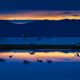BestNaturecollection