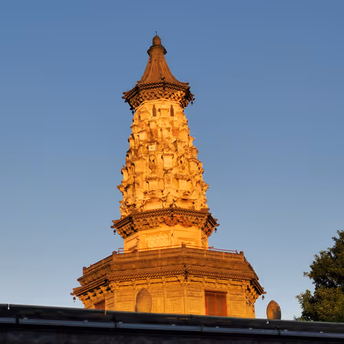 Paper cutting art series