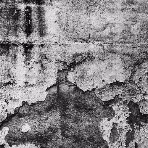 PHOTOS_ landscapes of memory