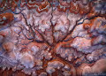 WickedLands - old