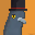 The Pidgeon Collective