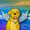 Packdawgz V2