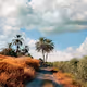 Side Roads