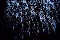 the_darkest_forest