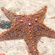 My Summer Memories - Zanzibar, Africa