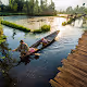 Shikaras of Kashmir - old