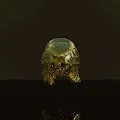 CryptoWaterBears