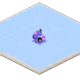 f1rst