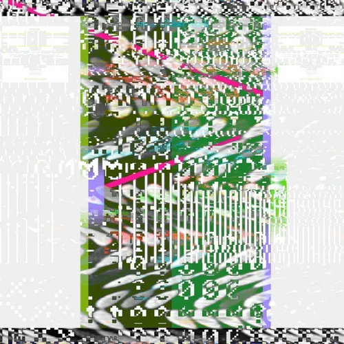 Data-X- Protocol (COMPUTERIZED DIGITAL DATA)