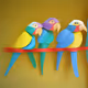 Paper Parrots