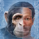 Dekanies