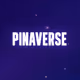 Pinaverse Juice