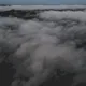 Flight by MeltedMindz