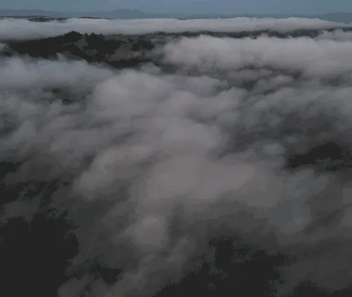 Flight by MeltedMindz