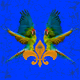 Parrot Project