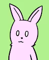 D-BUNNY