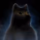 SpaceDoge Official