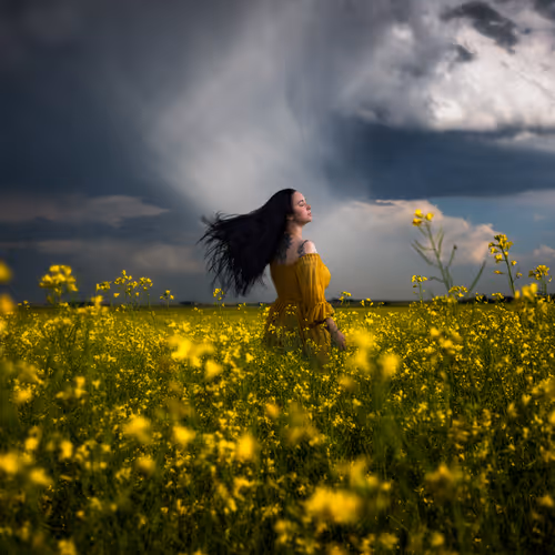 You Had Me at Yellow