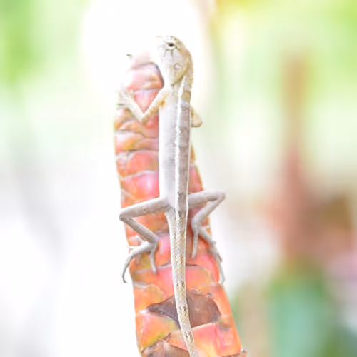 Travel Photography Worldwide