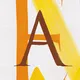 The Beauty of the Letters