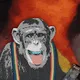 Apes4Good Collection